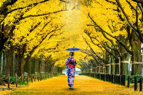 Personnes en kimono traditionnel sous des arbres de ginkgo jaunes en automne dans un parc à Tokyo, Japon
